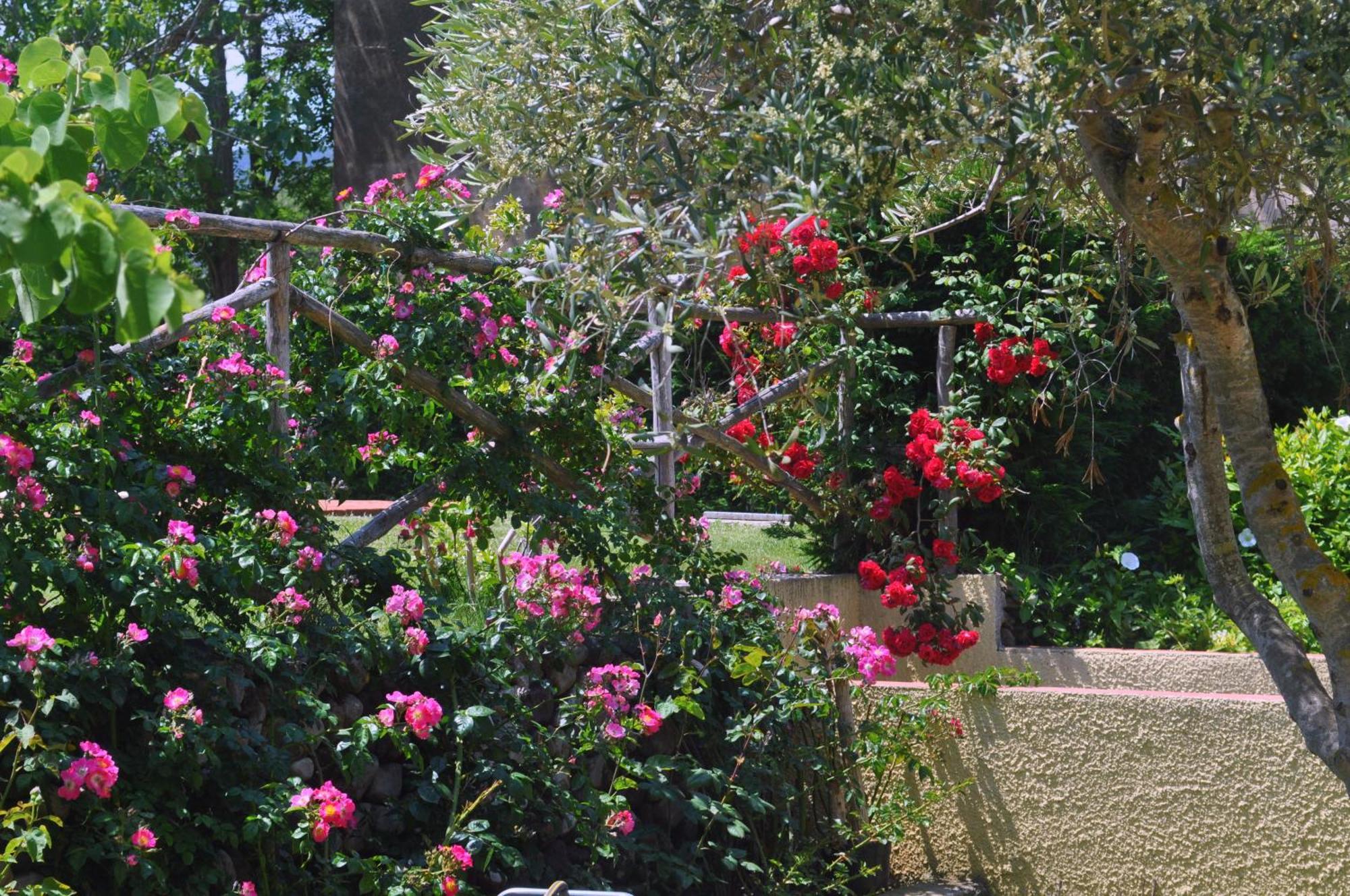 Hotel Tirrena Bike & Country Hotel ポルトフェッラーイオ エクステリア 写真